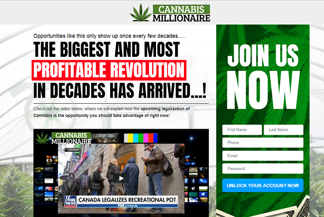 Cannabis Millionaire Structura