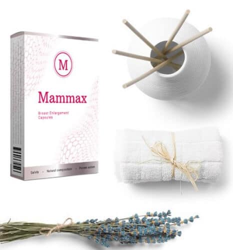 Mammax How to use?