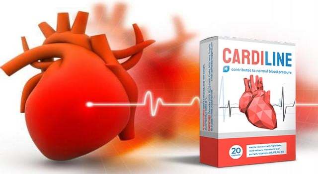 CardiLine Structure