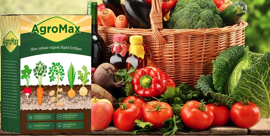Agromax Structure